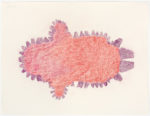 Sheojuk Etidlooie - untitled (red and purple seal)