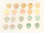 Sheojuk Etidlooie - untitled (seashells)