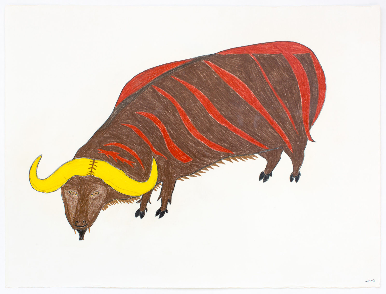 William Noah - Untitled (muskox)