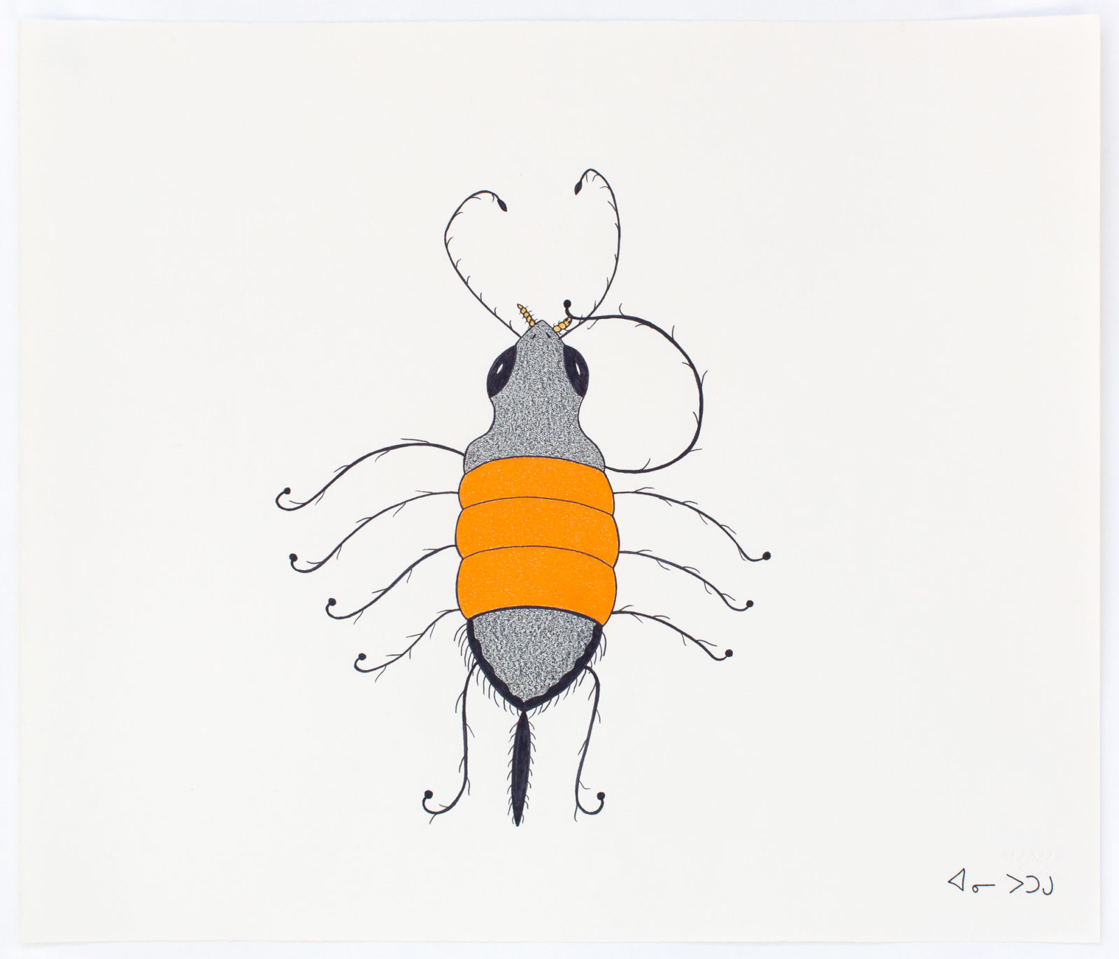 Annie Pootoogook - Bee