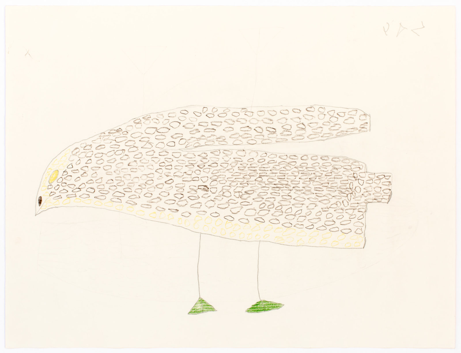 Sheojuk Etidlooie - untitled (bird)