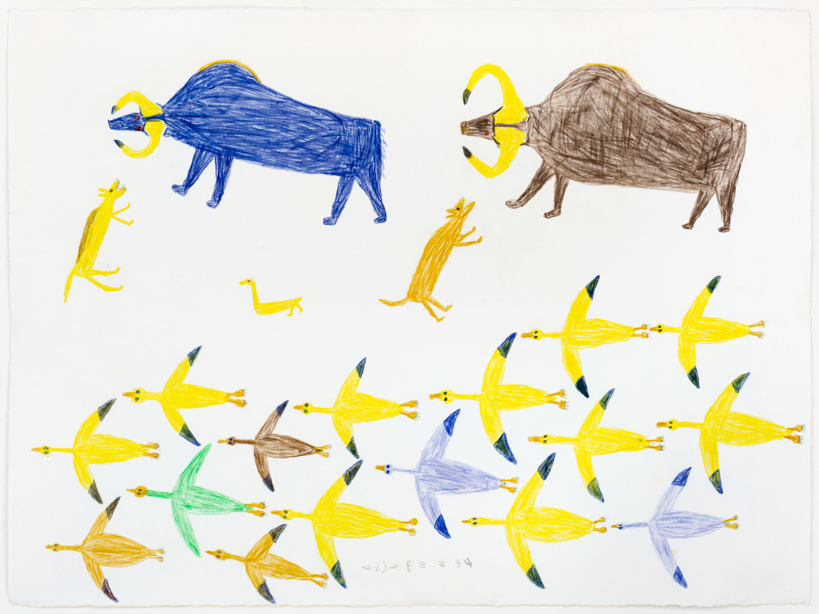 Luke Anguhadluq - untitled (birds and Muskoxen)