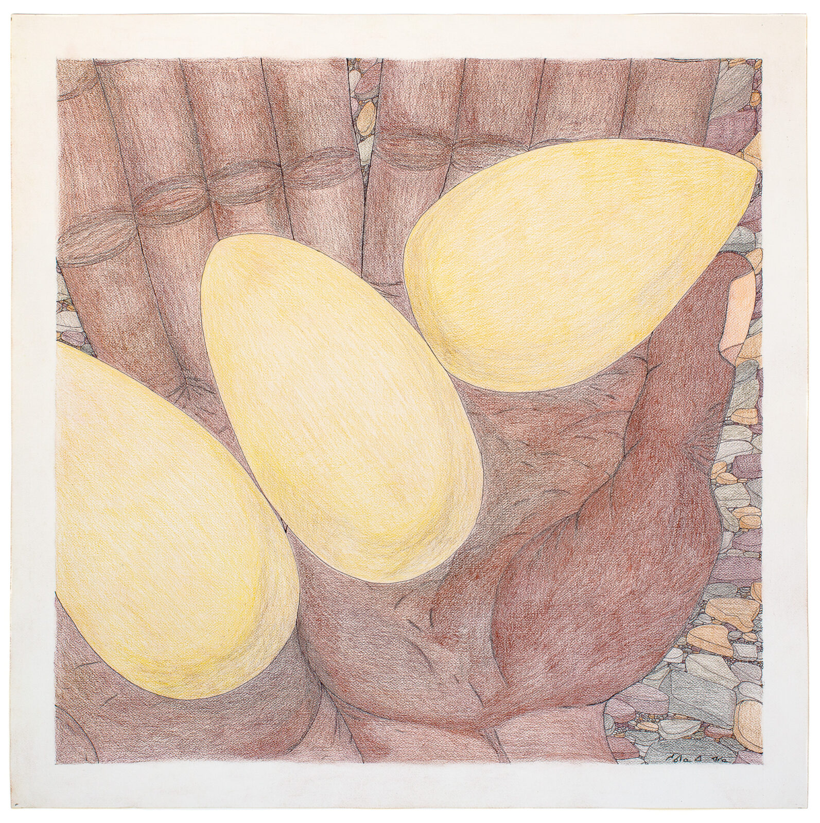 Shuvinai Ashoona - untitled (hands with eggs)