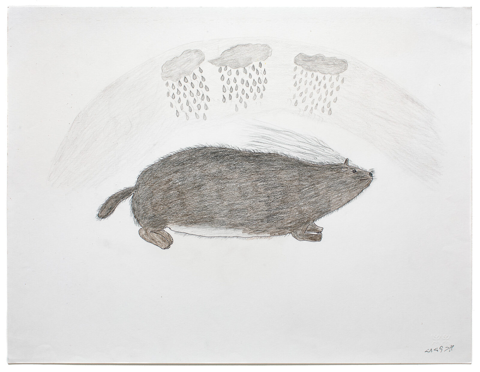 Papiara Tukiki - untitled (Lemming on a rainy day)