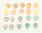 Sheojuk Etidlooie (1932-1999), Kinngait (Cape Dorset)<untitled (seashells), 1995-96, color pencil, graphite, paper, 20 x 26 in. 